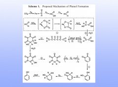 Hydrothermal Reactions from Sodium Hydrogen Carbonate to Phenol