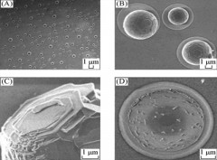 Characteristics of ZnO Particles Prepared by Au-catalyzed Phase Transport Technique