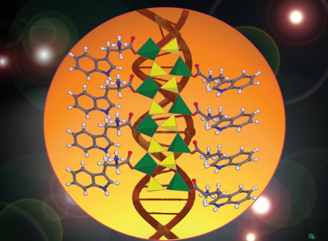 homochiral zinc phosphite phosphate networks with biofunctional amino acids