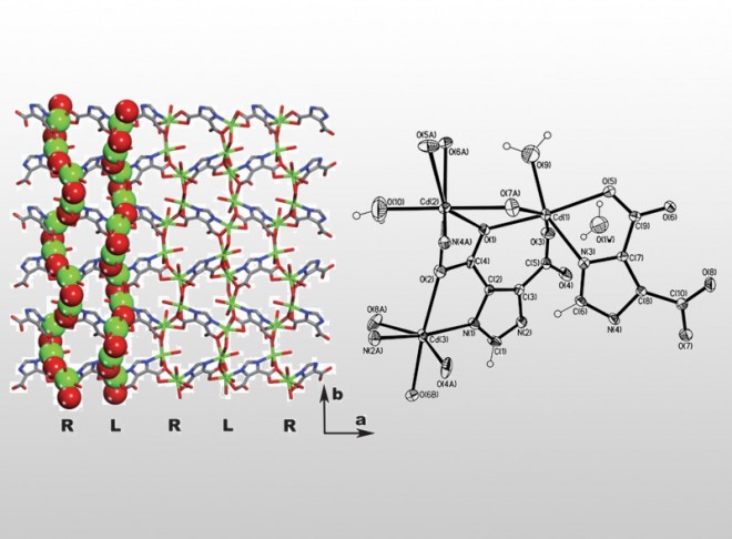Assembly of two 3-D metal-organic frameworks from Cd(II) and