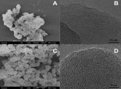 Gas storage in porous aromatic frameworks (PAFs)