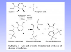 Mimicking the prebiotic acidic hydrothermal environment: One-pot prebiotic hydrothermal synthesis of glucose phosphates
