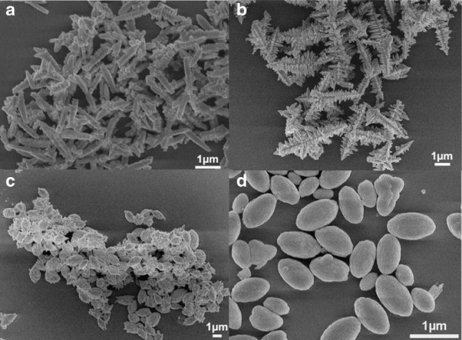 Microwave synthesis of NaLa(MoO4)2 microcrystals and their near-infrared