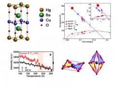Unusual magnetic order in the pseudogap region of the superconductor HgBa2CuO4+δ