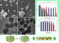 pH-Triggered Controlled Drug Release from Mesoporous Silica Nanoparticles via Intracelluar Dissolution of ZnO Nanolids