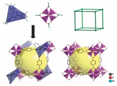 A novel low density metal–organic framework with pcu topology by dendritic ligand
