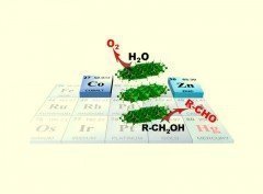 Efficient noble metal-Free (electro)catalysis of water and alcohol oxidations by zinc-cobalt layered double hydroxide