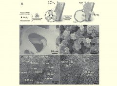 Overall Water Splitting Catalyzed Effi ciently by an Ultrathin Nanosheet-Built, Hollow Ni3S2-Based Electrocatalyst