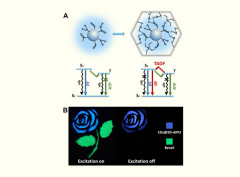 Carbon dots in zeolites: A new class of thermally activated delayed fluorescence materials with ultralong lifetimes