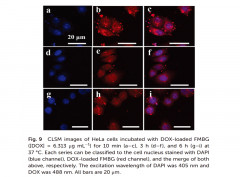 Biodegradable AIEgen-functionalised mesoporous bioactive glass nanoparticles for drug delivery and cell imaging