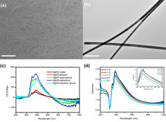 Entropy-driven self-assembly of chiral nematic liquid crystalline phases of AgNR@Cu2O hyper branched coaxial nanorods and thickness-dependent handedness transition