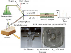 Rapid characterization of complex viscous samples at molecular levels by neutral desorption extractive electrospray ionization mass spectrometry