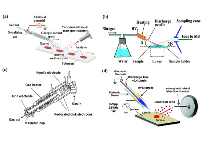 Ambient mass spectrometry for food science and industry