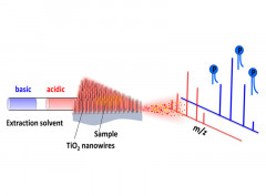 Selective Enrichment of Phosphopeptides and Phospholipids from Biological Matrixes on TiO2 Nanowire Arrays for Direct Molecular Characterization by Internal Extractive Electr [...]