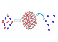 An Amino-Coordinated Metal-Organic Framework for Selective Gas Adsorption