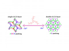 Single- and Double-Layer Structures and Sorption Properties of Two Microporous Metal–Organic Frameworks with Flexible Tritopic Ligand