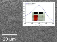 A new ZIF molecular-sieving membrane for high-efficiency dye removal