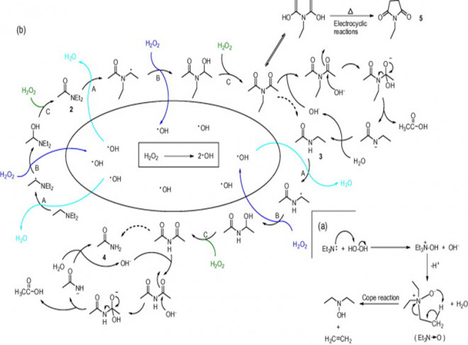 The oxidation of the alpha-carbon of amines in hydrothermal condition: an alternative synthetic route of compounds containing amide bond
