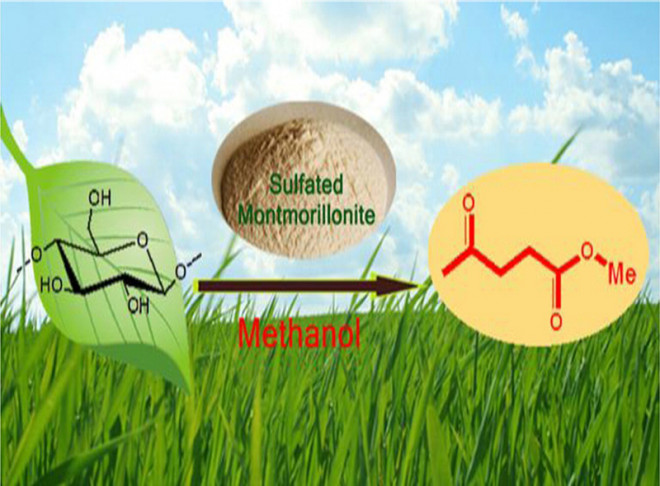 Conversion of carbohydrates to methyl levulinate catalyzed by sulfated montmorillonite.