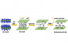 Highly effective transformation of carbohydrates to 5-hydroxymethylfurfural with Al- montmorillonite as catalyst