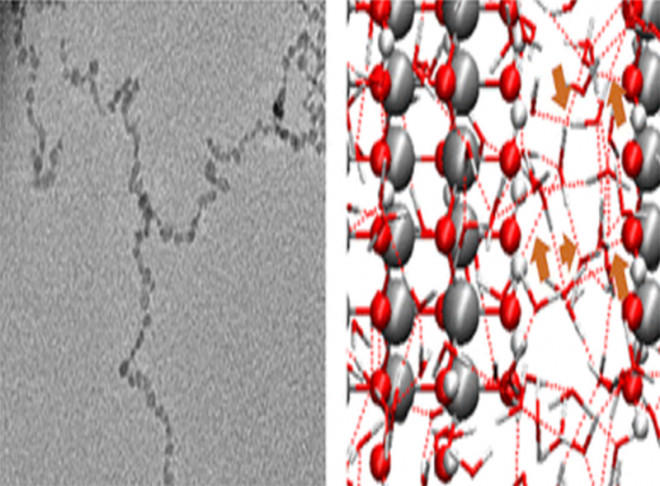 Hydrogen Bonding Stabilized Self-Assembly of Inorganic Nanoparticles: Mechanism and Collective Properties