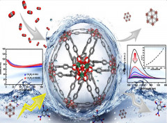 A multifunctional double walled zirconium metal–organic framework: high performance for CO2 adsorption and separation and detecting explosives in the aqueous phase