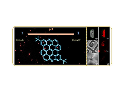 A Highly Luminescent Nitrogen-Doped Nanographene as an Acidand Metal-Sensitive Fluorophore for Optical Imaging