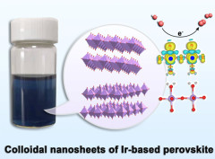 Protonated Iridate Nanosheets with Highly Active and Stable Layered Perovskite Framework for Acidic Oxygen Evolution