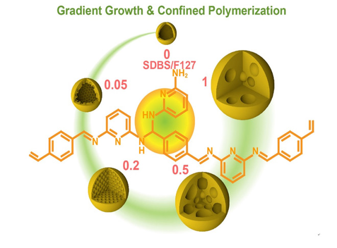 Schiff base polymer (SBP) colloid spheres with refined hollow structures were synthesized by tandem gradient growth and confined polymerization processes