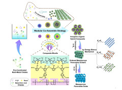 A Modular Co-assembly Strategy for Ordered Mesoporous Perovskite Oxides with Abundant Surface Active Sites