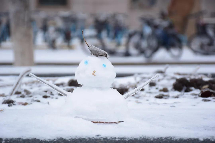 校园小雪人